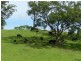 Yarranbella NSW 2447