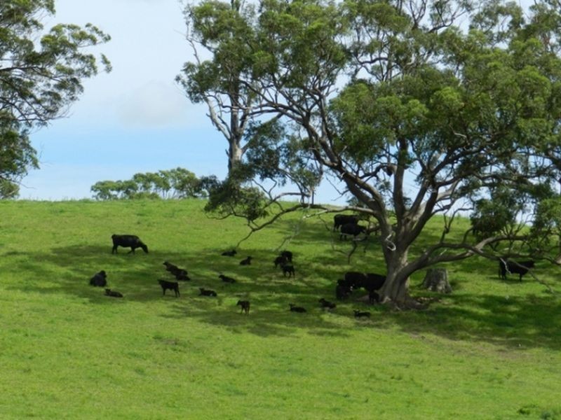 Yarranbella NSW 2447