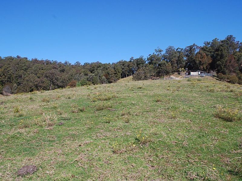 288 Talarm Road, Talarm NSW 2447