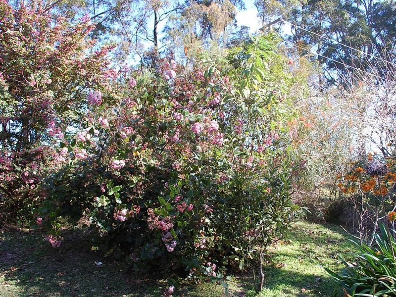 2 Southbank Rd, Eungai Rail NSW 2441