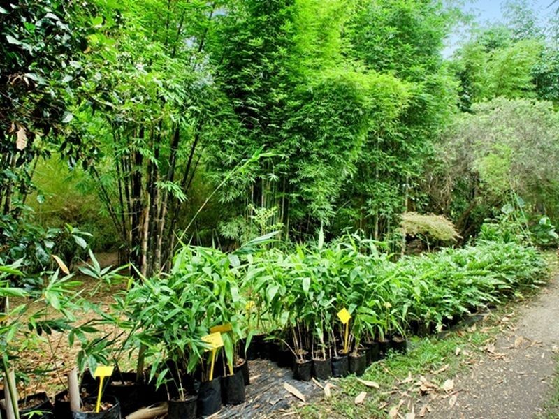 188 Bellingen Rd, Missabotti NSW 2449