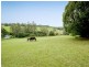 188 Bellingen Rd, Missabotti NSW 2449