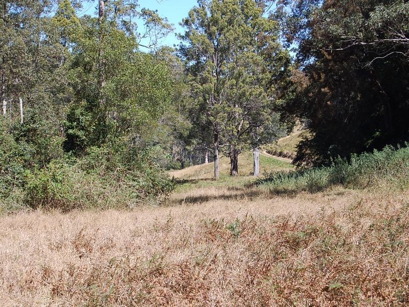 534 Missabotti Road, Missabotti NSW 2449