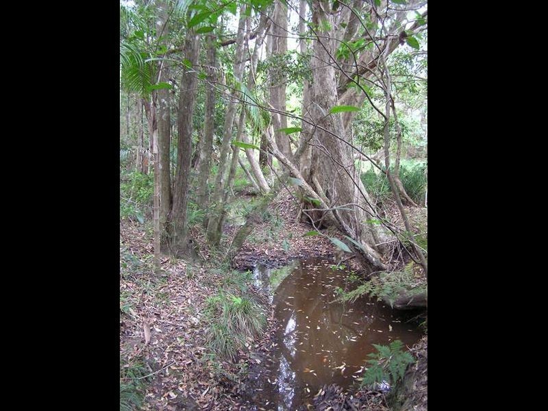 61 Priory Pde, Valla NSW 2448