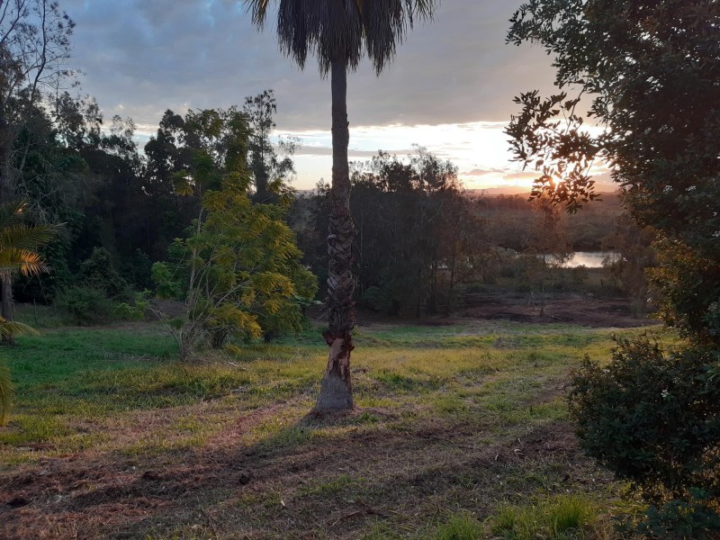 1 Litoria Lane, North Macksville NSW 2447