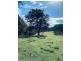 58 South Bank Road, Eungai Rail NSW 2441
