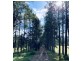 58 South Bank Road, Eungai Rail NSW 2441