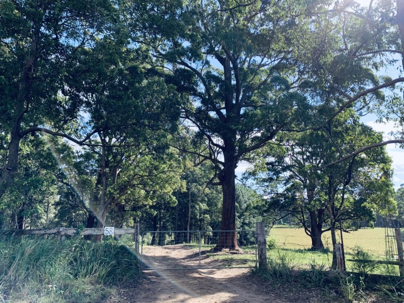 58 South Bank Road, Eungai Rail NSW 2441