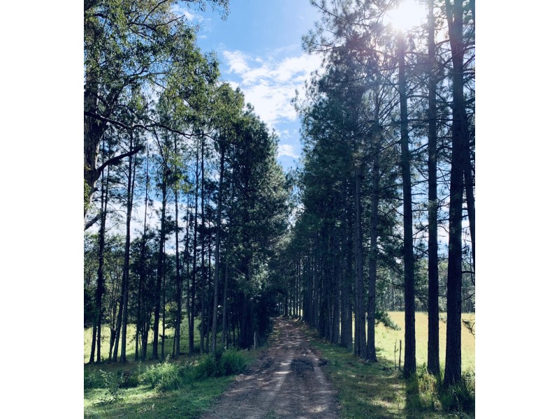 58 South Bank Road, Eungai Rail NSW 2441