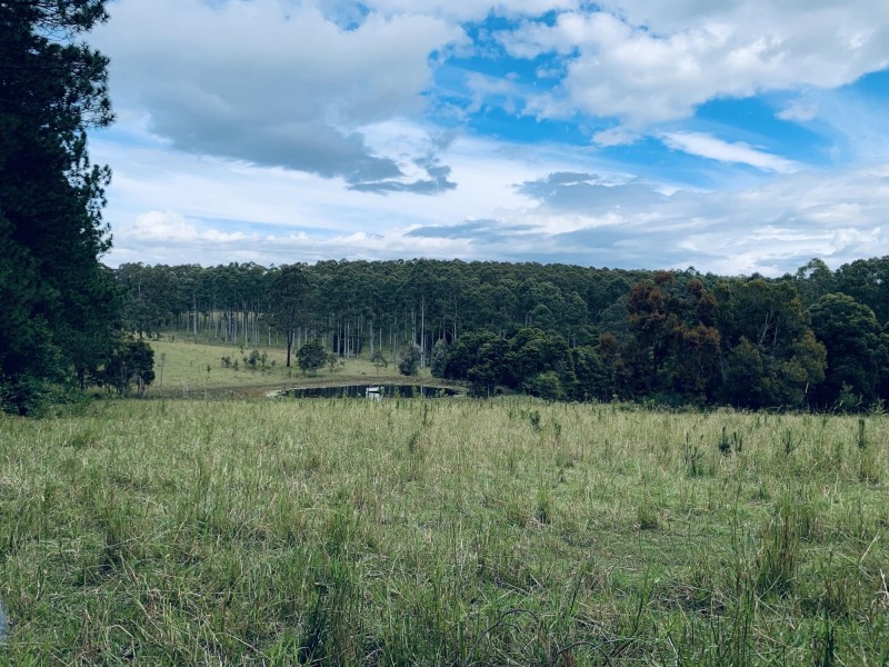 58 South Bank Road, Eungai Rail NSW 2441