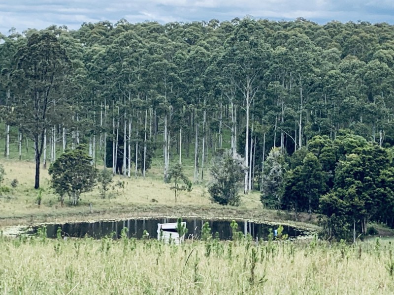 58 South Bank Road, Eungai Rail NSW 2441