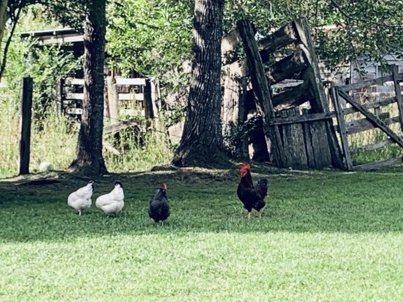 58 South Bank Road, Eungai Rail NSW 2441