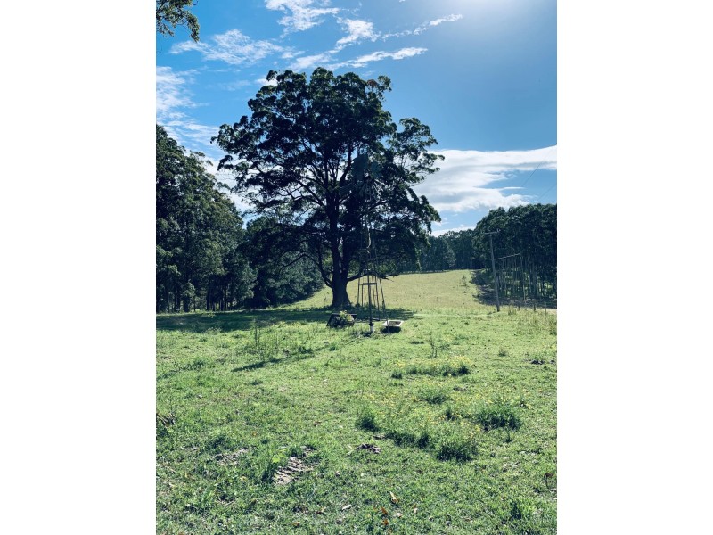 58 South Bank Road, Eungai Rail NSW 2441