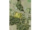 33 Waterford Drive, Gumma NSW 2447