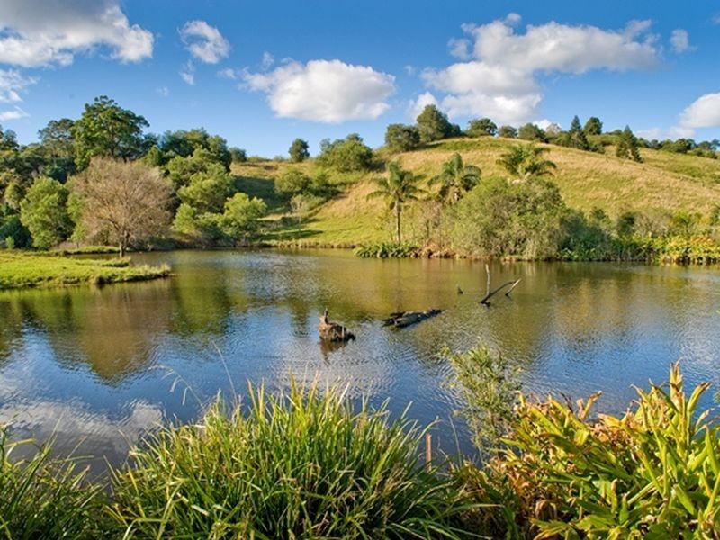 1026 North Arm Road, Argents Hill NSW 2449