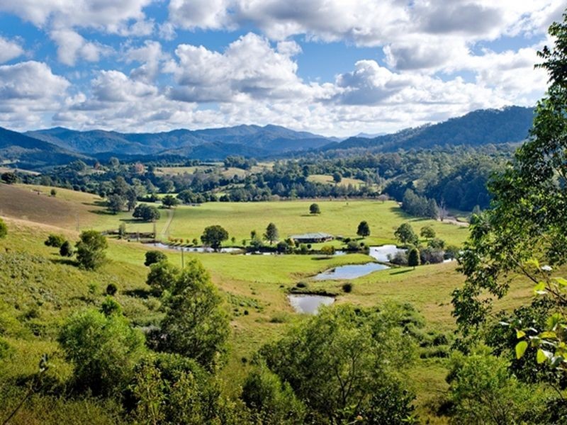 1026 North Arm Road, Argents Hill NSW 2449