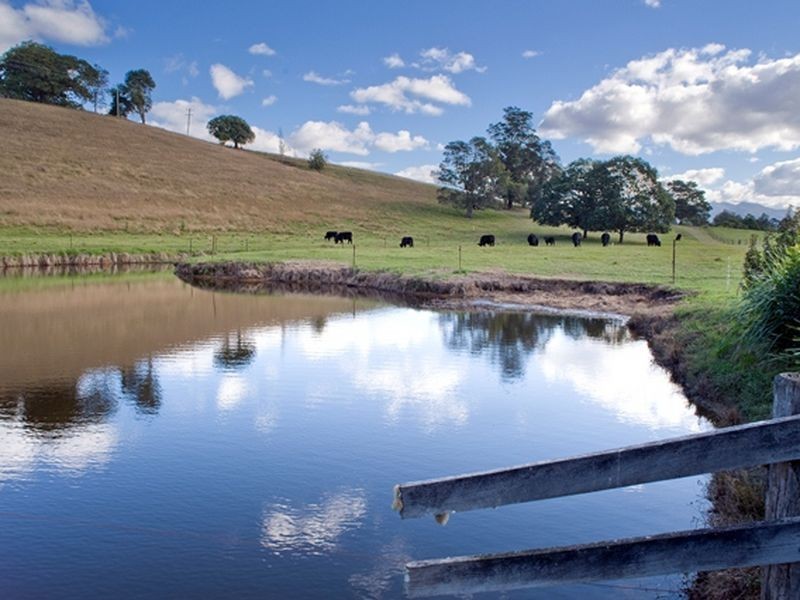 1026 North Arm Road, Argents Hill NSW 2449