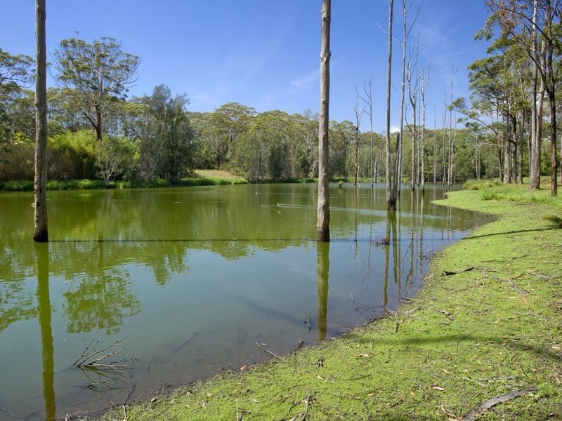 23 East West Road, Valla NSW 2448