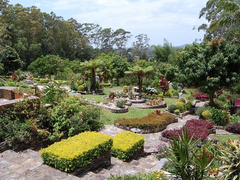 735 Warrell Creek Road, Warrell Creek NSW 2447