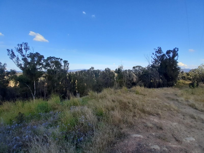 385 Williams Hill Road, Yarranbella NSW 2447