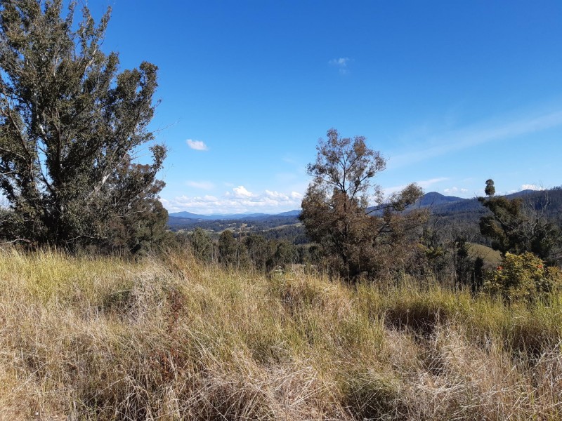 385 Williams Hill Road, Yarranbella NSW 2447