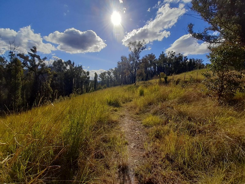 385 Williams Hill Road, Yarranbella NSW 2447