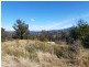 385 Williams Hill Road, Yarranbella NSW 2447