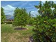 957 Wilson Rd, Congarinni North NSW 2447