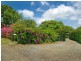 957 Wilson Rd, Congarinni North NSW 2447