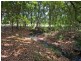 957 Wilson Rd, Congarinni North NSW 2447