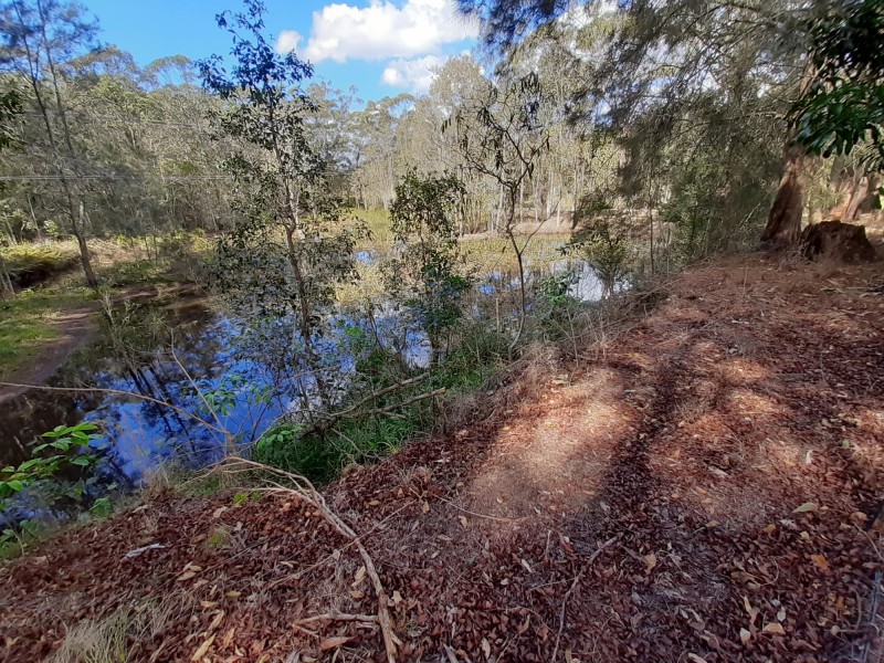 769 Gumma Road, Gumma NSW 2447