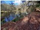 769 Gumma Road, Gumma NSW 2447