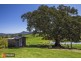 380 Lower Buckra, Buckra Bendinni NSW 2449