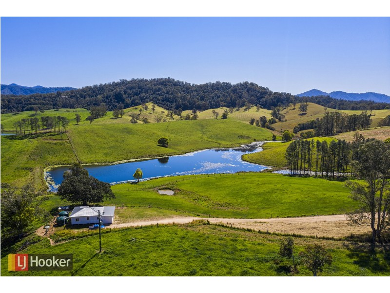 380 Lower Buckrabendinni Road, Buckra Bendinni NSW 2449