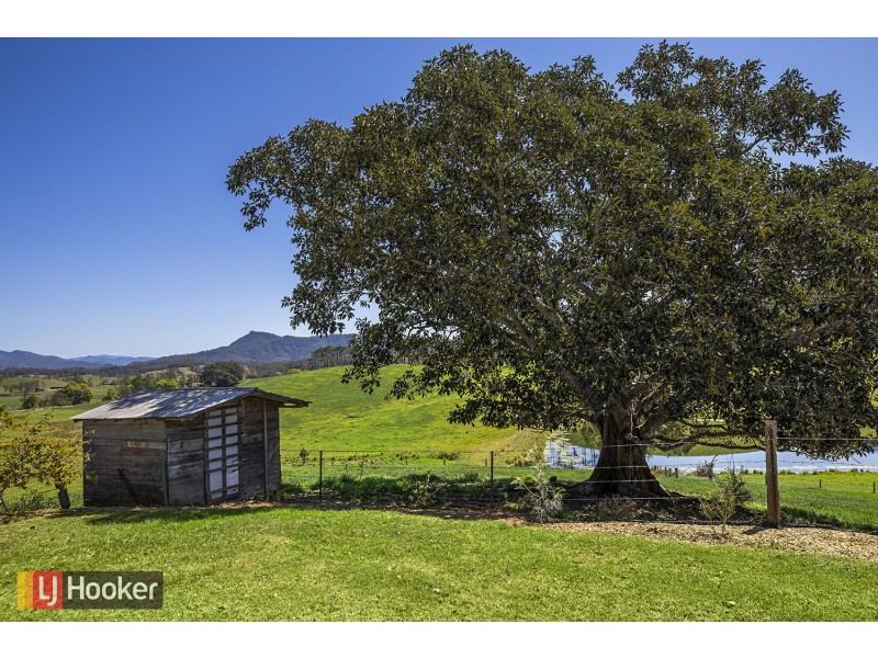 380 Lower Buckra, Buckra Bendinni NSW 2449