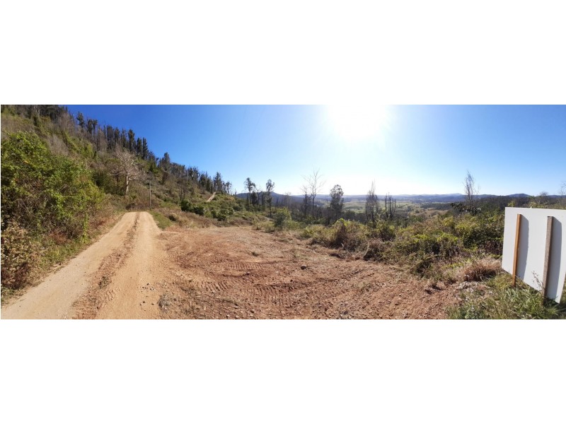 323 Whip Mountain Road, Yarranbella NSW 2447