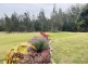 14 Axels Road, Macksville NSW 2447