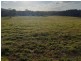 Proposed L Part of 662 Gumma Road, Gumma NSW 2447