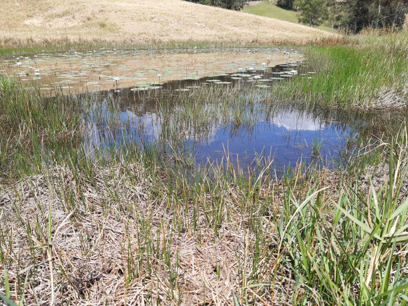 Lot 3 82 Smiths Lane, Congarinni North NSW 2447