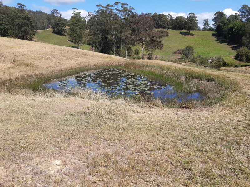 Lot 3 82 Smiths Lane, Congarinni North NSW 2447