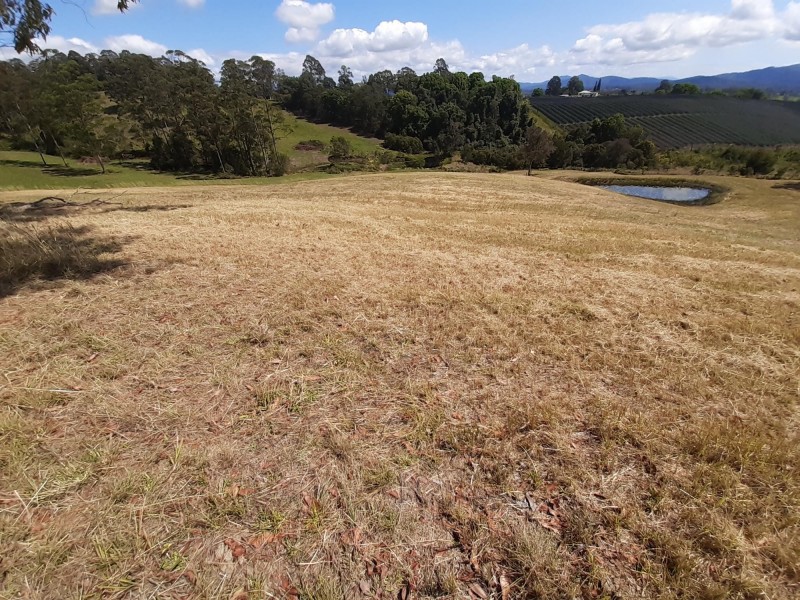 Lot 3 82 Smiths Lane, Congarinni North NSW 2447
