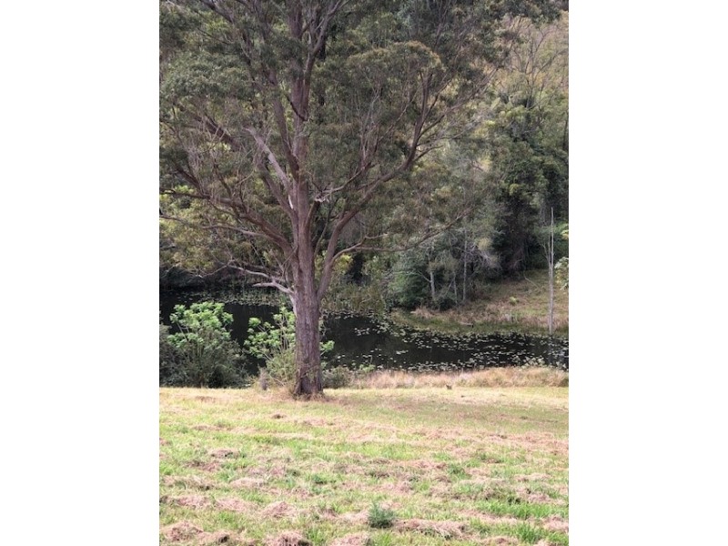 388 Newee Creek Road, Newee Creek NSW 2447