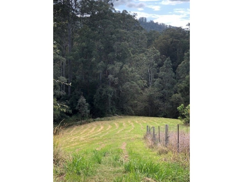 388 Newee Creek Road, Newee Creek NSW 2447