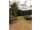 388 Newee Creek Road, Newee Creek NSW 2447