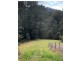 388 Newee Creek Road, Newee Creek NSW 2447