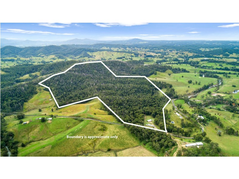 164 Boat Harbour Road, Utungun NSW 2447
