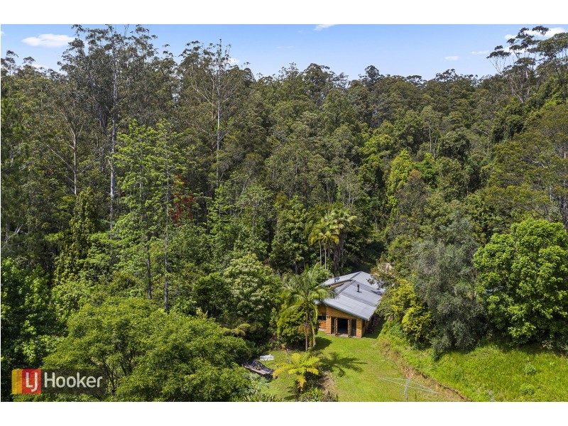 1647 Missabotti Road, Missabotti NSW 2449
