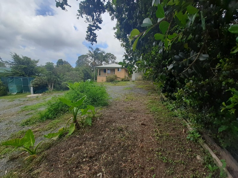 62 Main Street, Eungai Creek NSW 2441