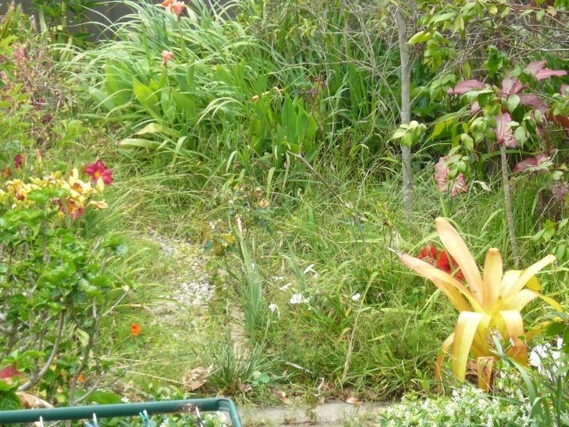 52 Wallace Street, Scotts Head NSW 2447