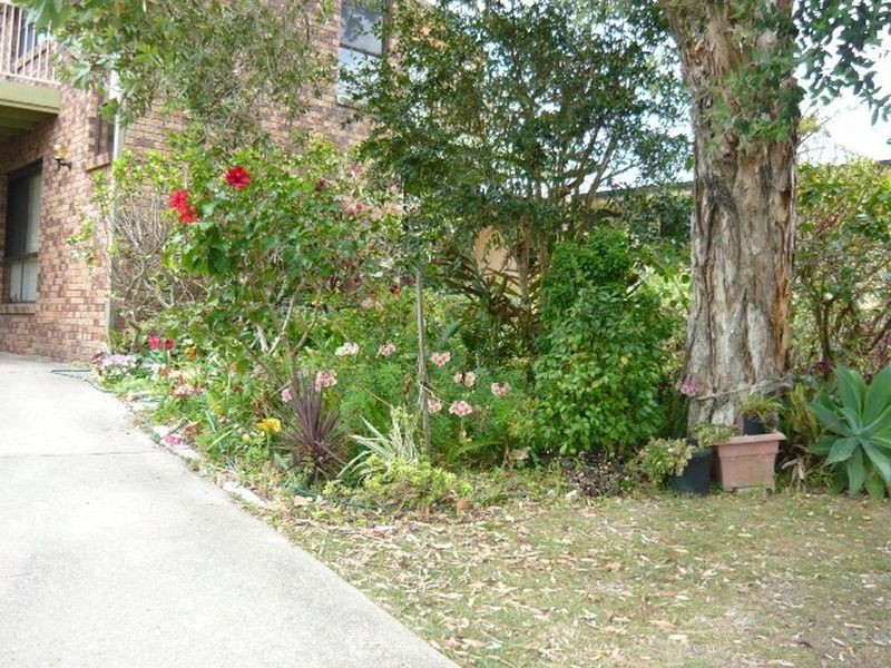 52 Wallace Street, Scotts Head NSW 2447